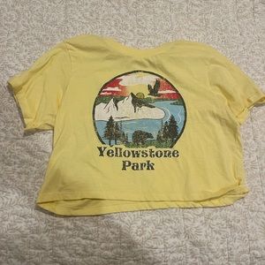 Yellow yellowstone park crop top